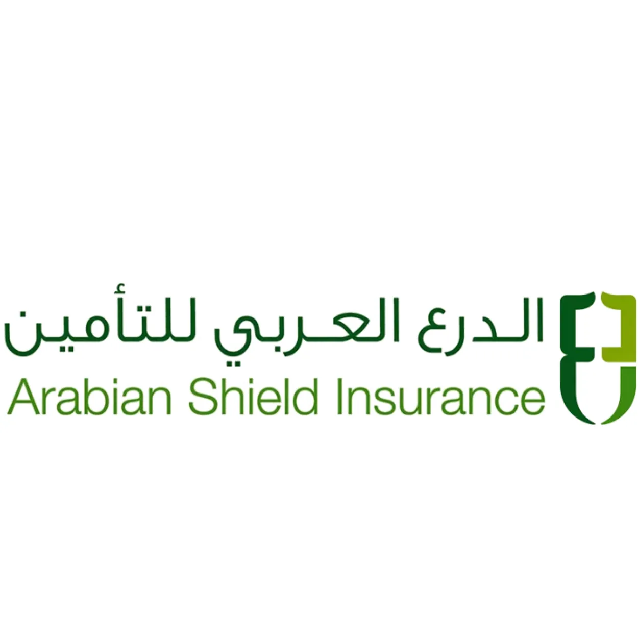 ARABIAN SHIELD